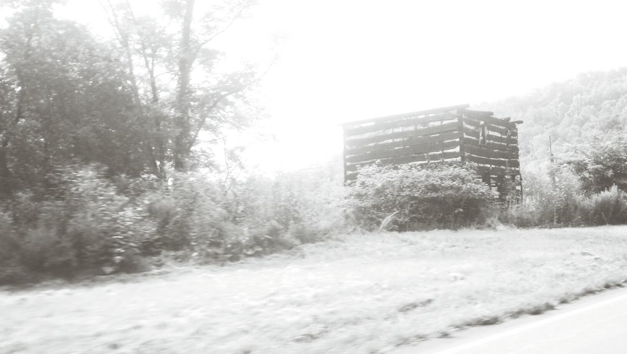 ROAD AMIDST TREES AND BUILDINGS IN CITY