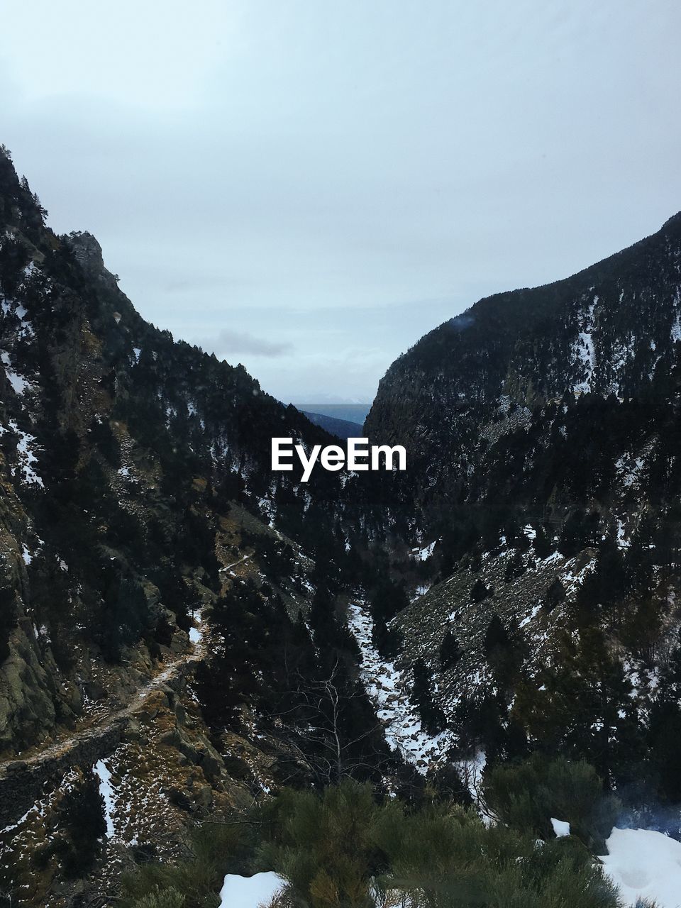 SCENIC VIEW OF FOREST AND MOUNTAINS AGAINST SKY