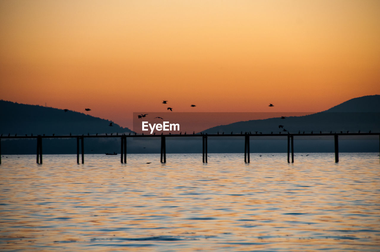 Silhouette birds flying over lake against orange sky