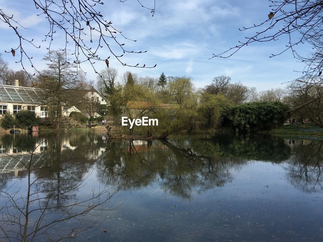 REFLECTION OF TREES IN WATER