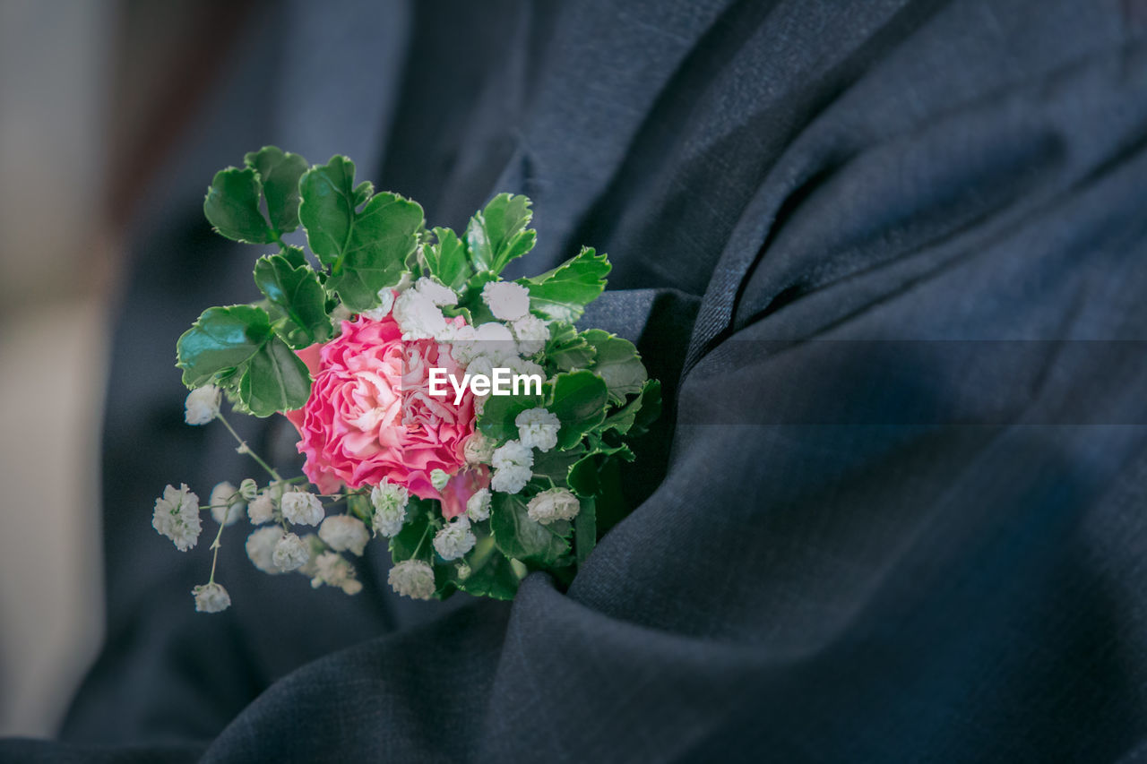 Close-up of person holding pink flowering plant