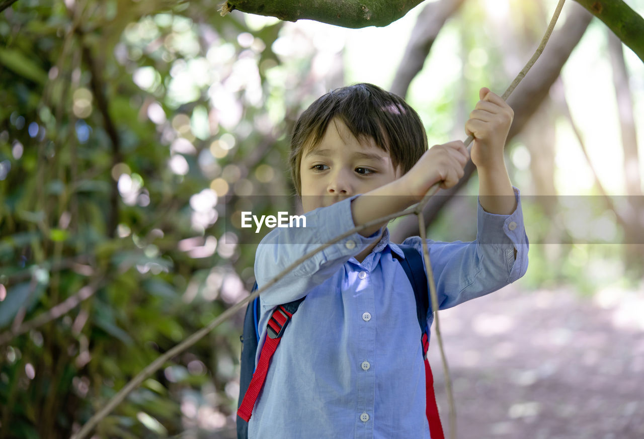 Close-up of boy holding branch in forest