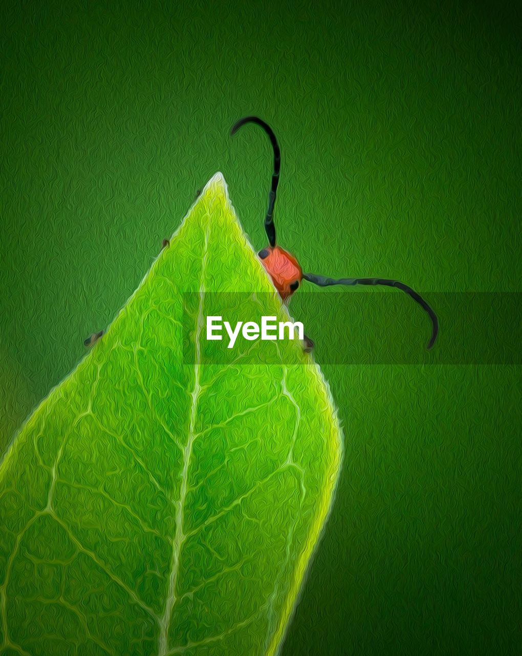 CLOSE-UP OF CATERPILLAR ON LEAF