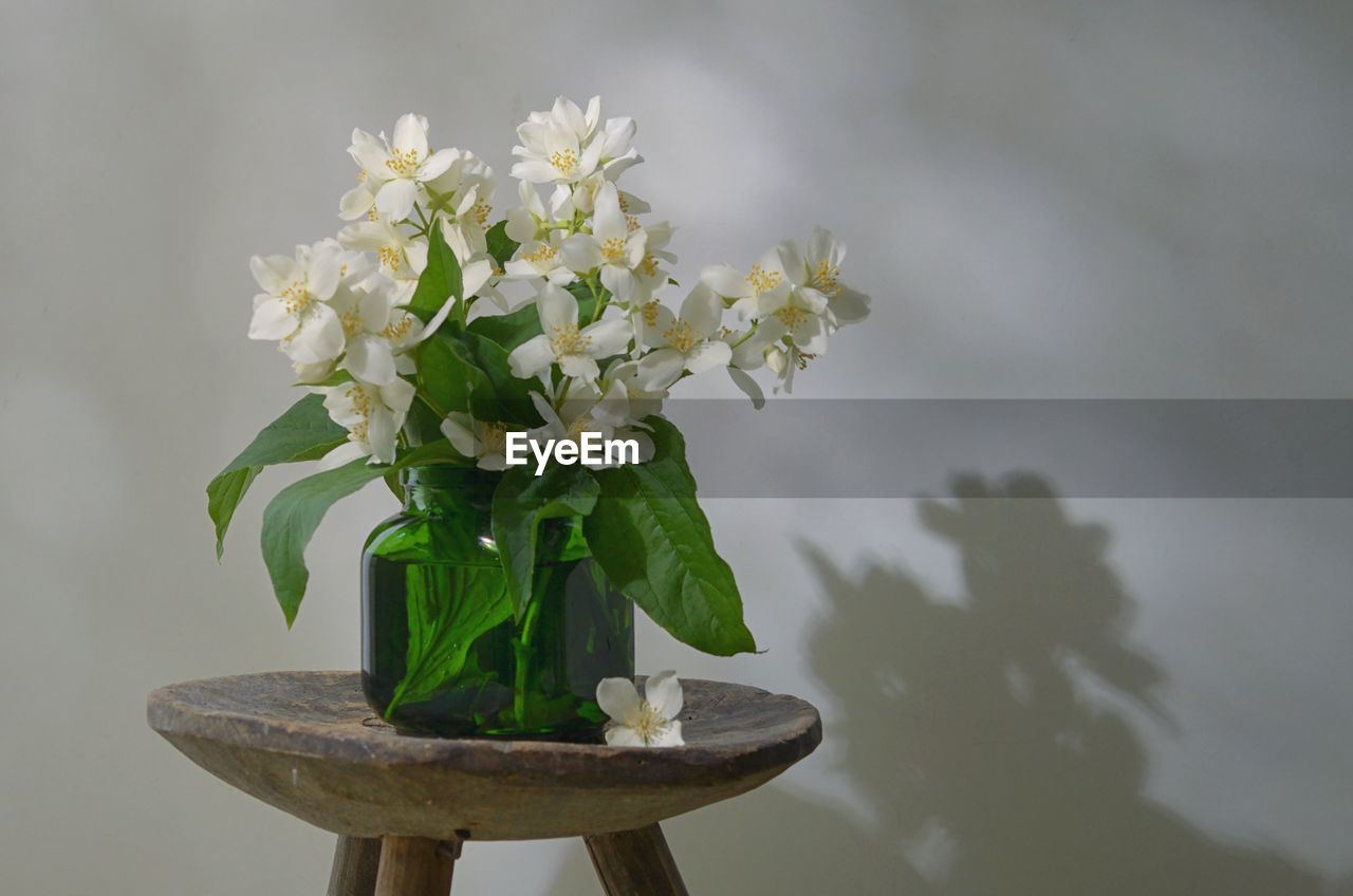 Beautiful bouquet with fresh jasmine flowers in vase on old wooden chair