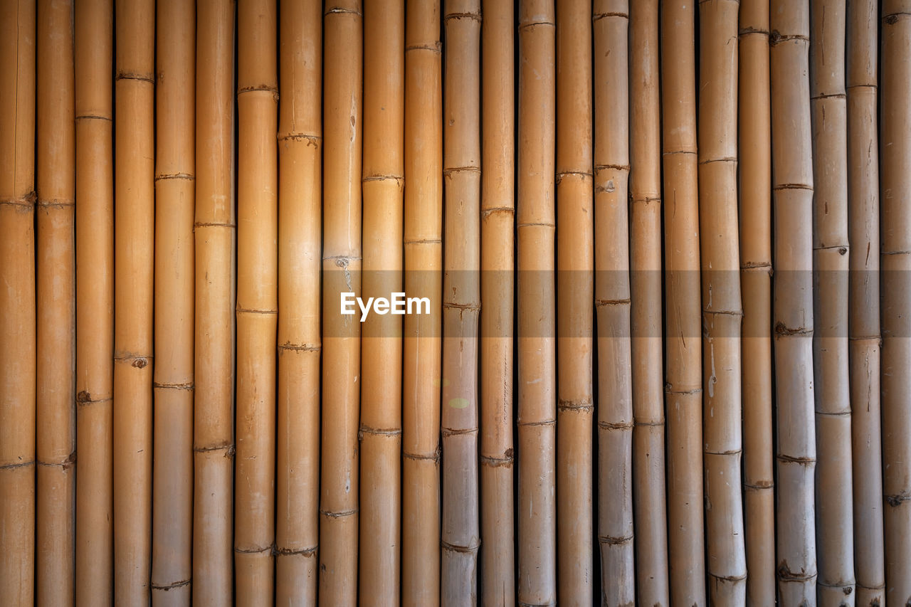Sunset on vintage bamboo wall.