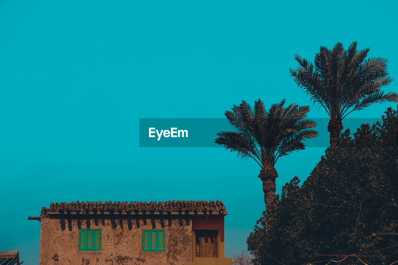 Low angle view of palm trees and building against blue sky