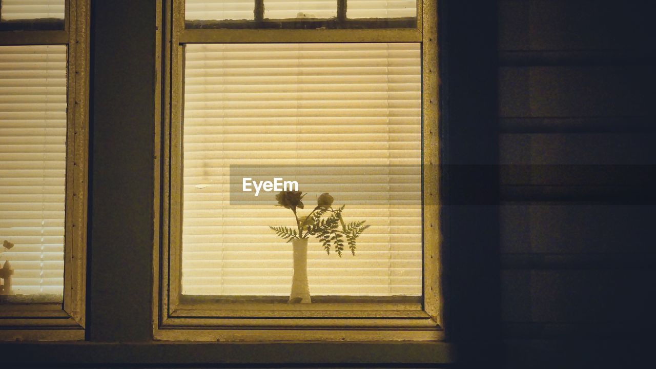 View of flowers seen in window