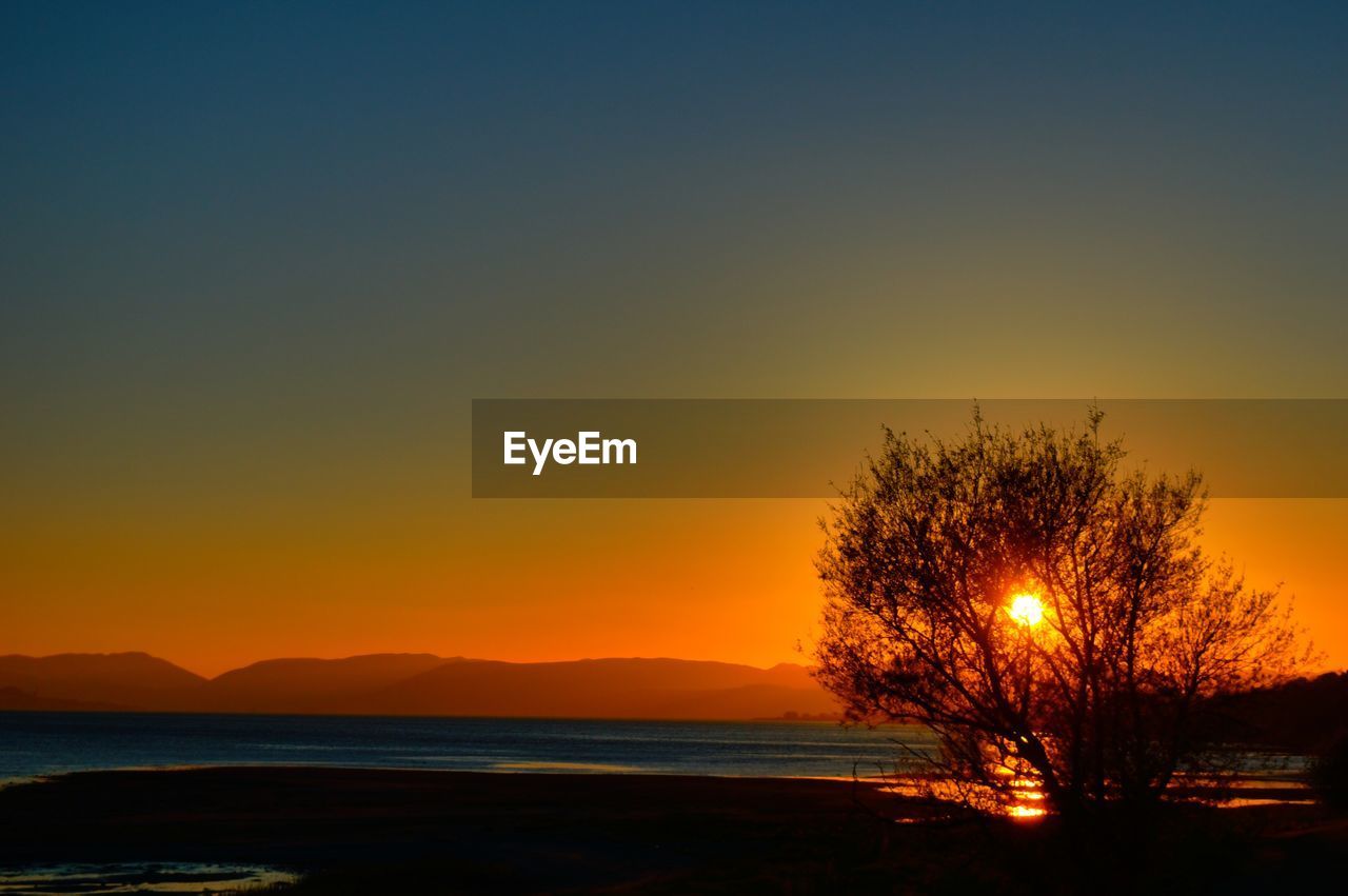 Silhouette tree by sea against orange sky