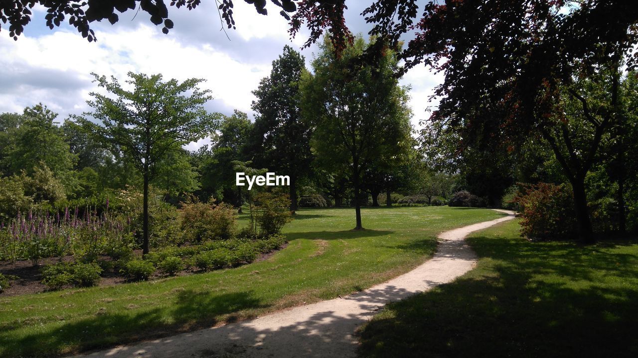 TREES IN PARK AGAINST SKY