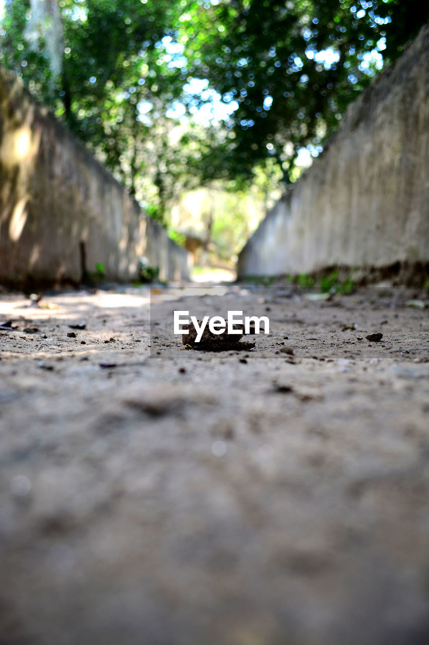 SURFACE LEVEL OF ROAD