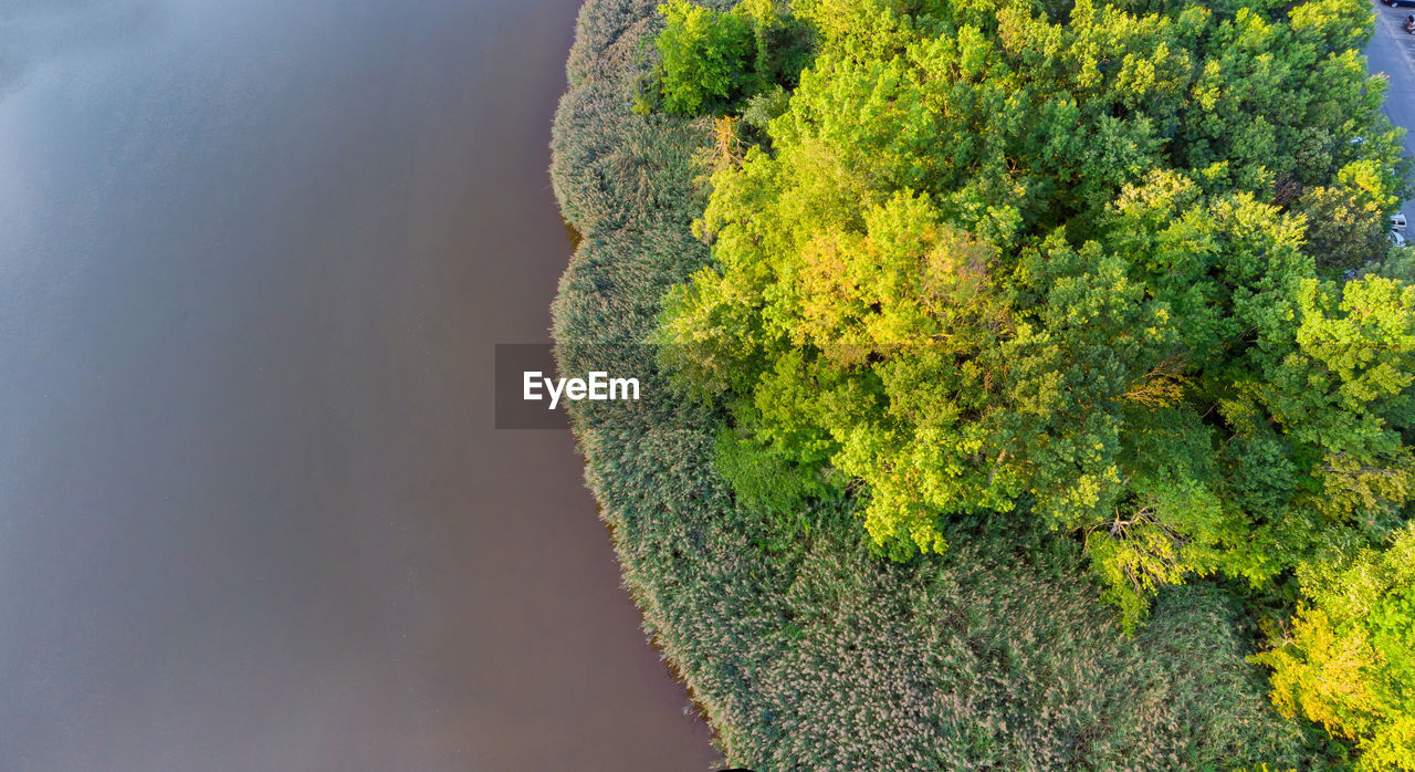 High angle view of plants on land against sky