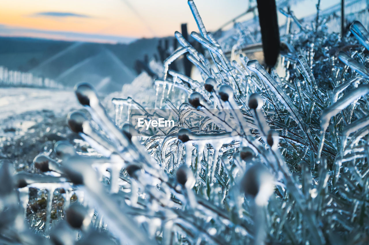 Close-up of icicles on ice