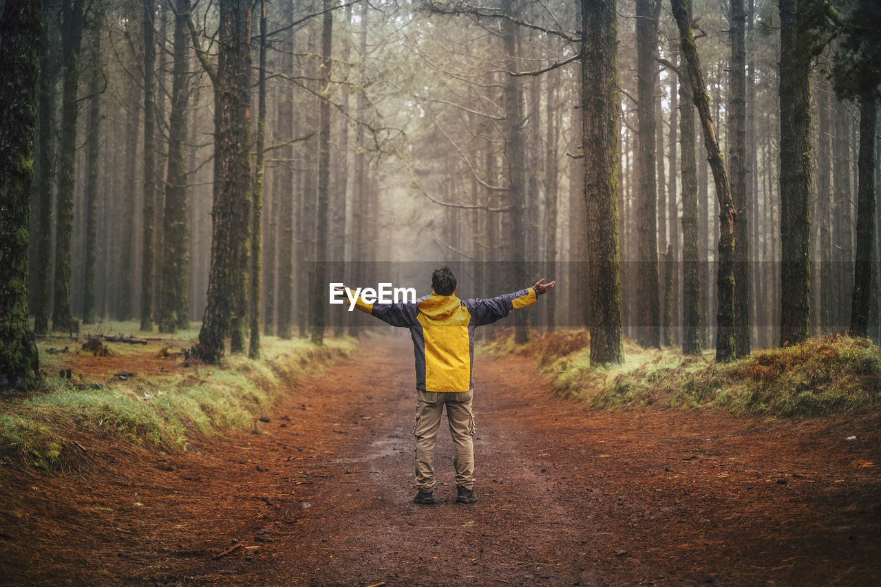 Rear view of man with arms outstretched standing on field in forest