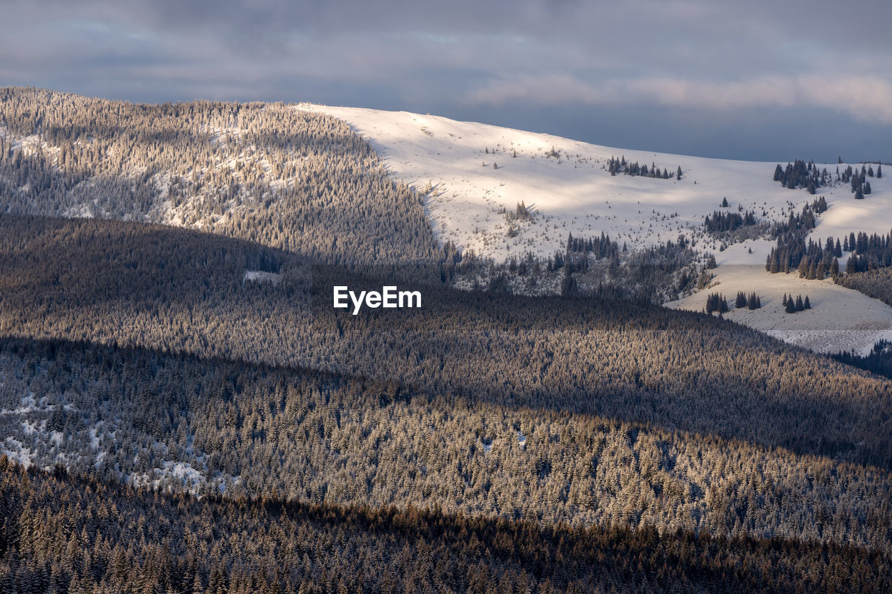 Scenic view of snowy field against sky