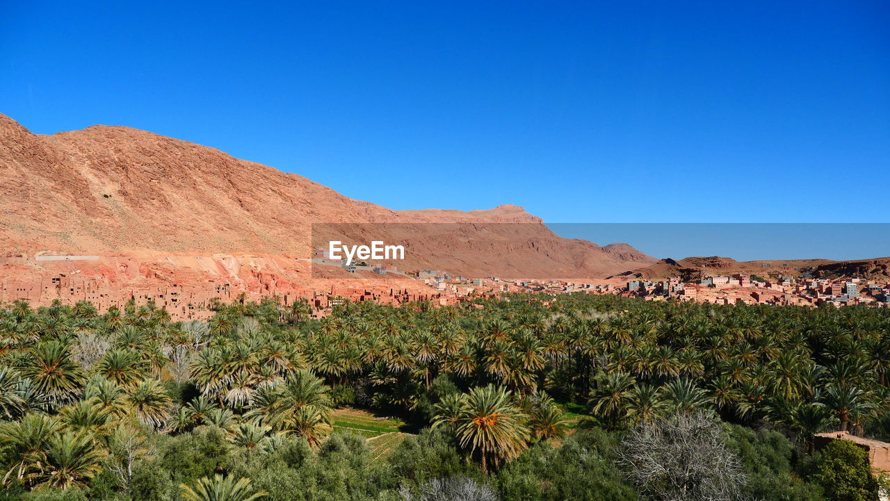 SCENIC VIEW OF DESERT AGAINST CLEAR BLUE SKY