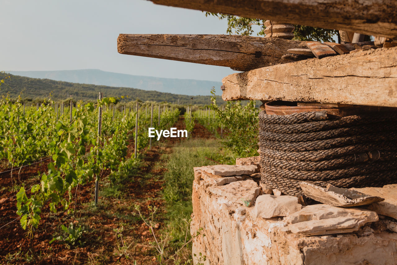 Old olive press with farmland in the background.