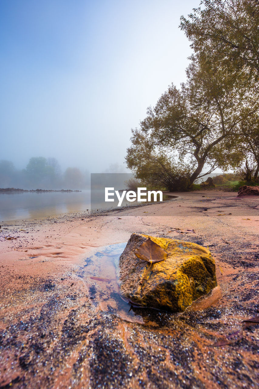 Scenic view of rocks by trees against sky