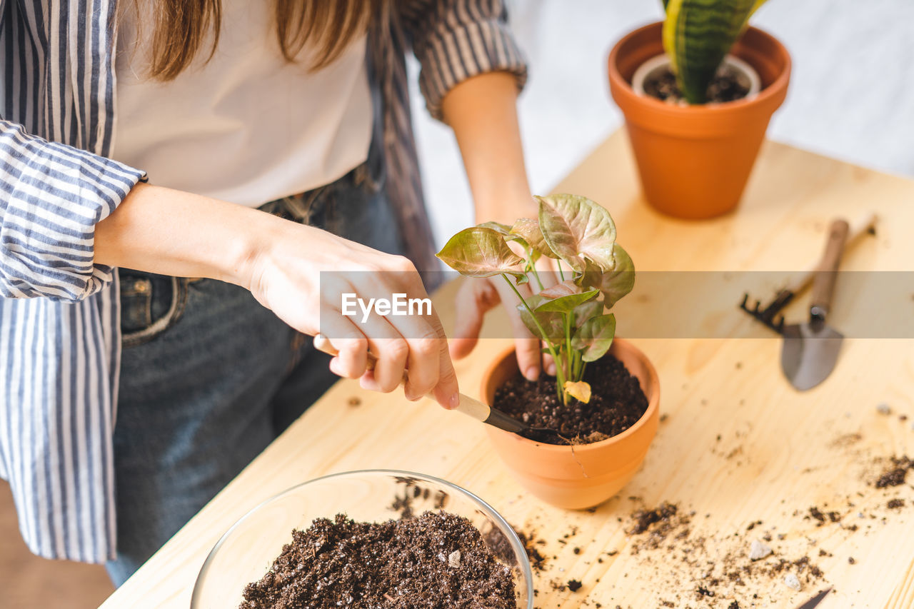 Woman gardeners taking care and transplanting plant a into a new ceramic pot on the wooden table.