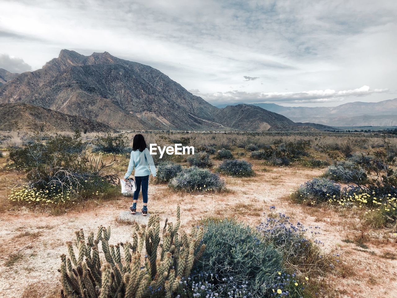 Rear view of girl looking at mountains while standing on land