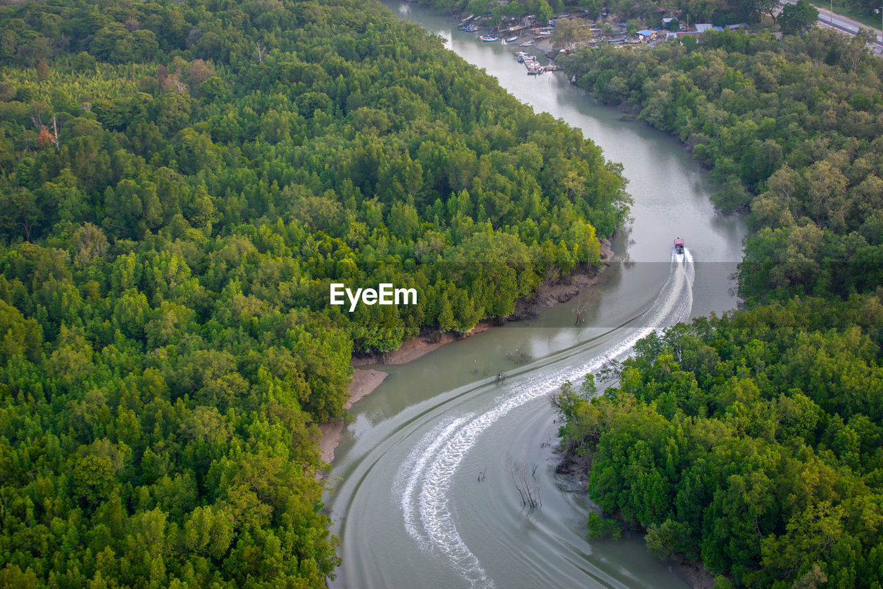Aerial view of boat sailing in river amidst trees at forest
