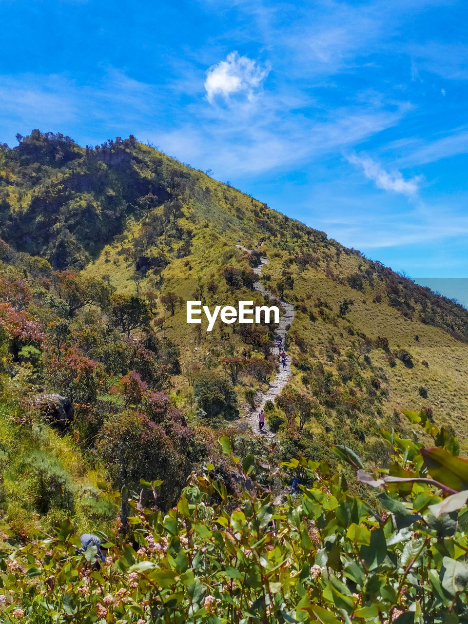 Scenic view of mountains against blue sky