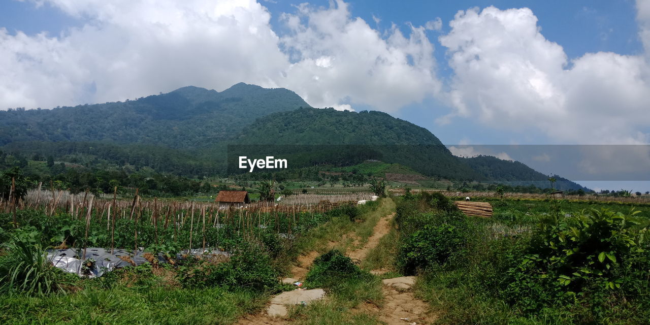 PANORAMIC VIEW OF FIELD AGAINST SKY