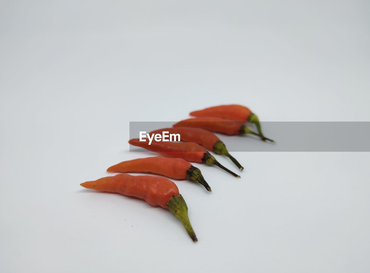 CLOSE-UP OF RED CHILI PEPPERS AGAINST WHITE BACKGROUND