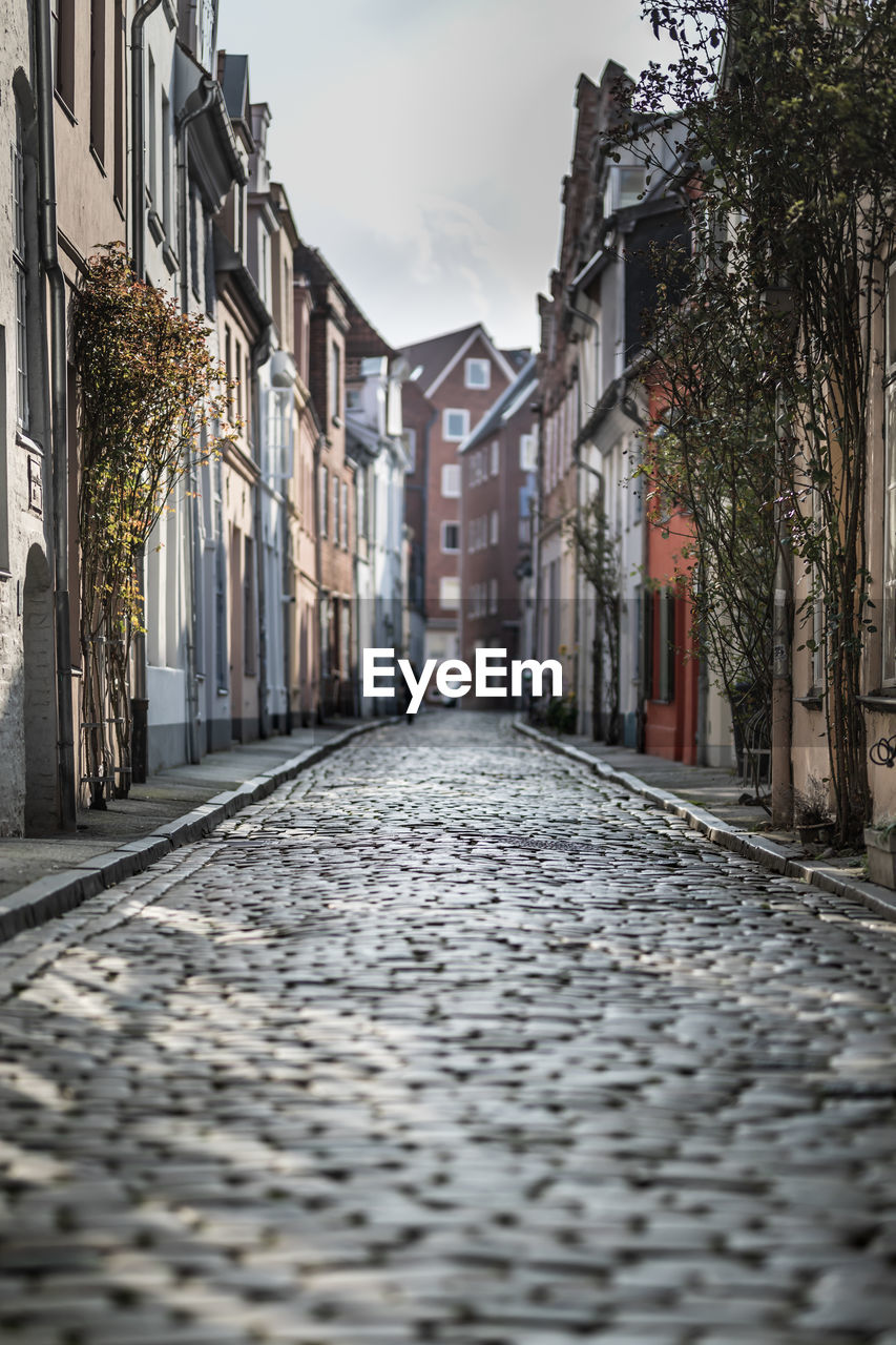 Surface level of alley amidst buildings