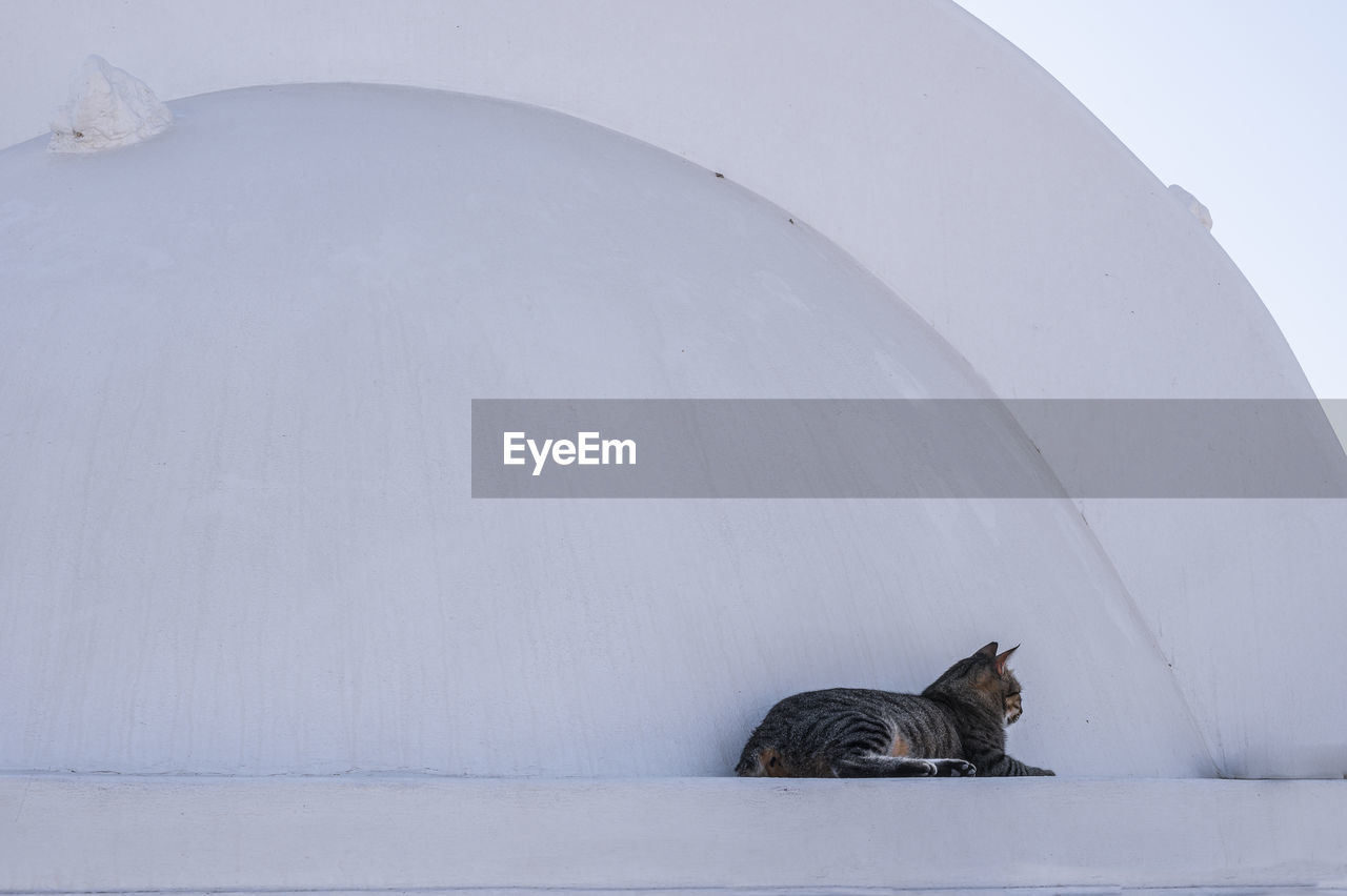 Cat sleeping on church parapet.