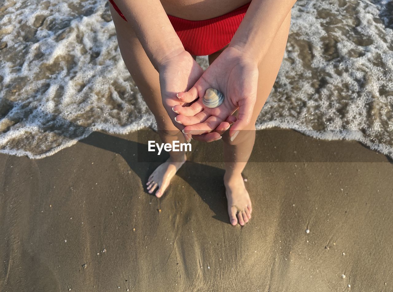 Woman in bikini holding seashells in her hand on the beach 