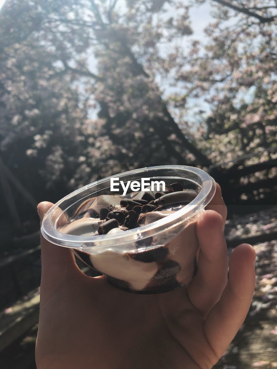 Close-up of person holding ice cream outdoors