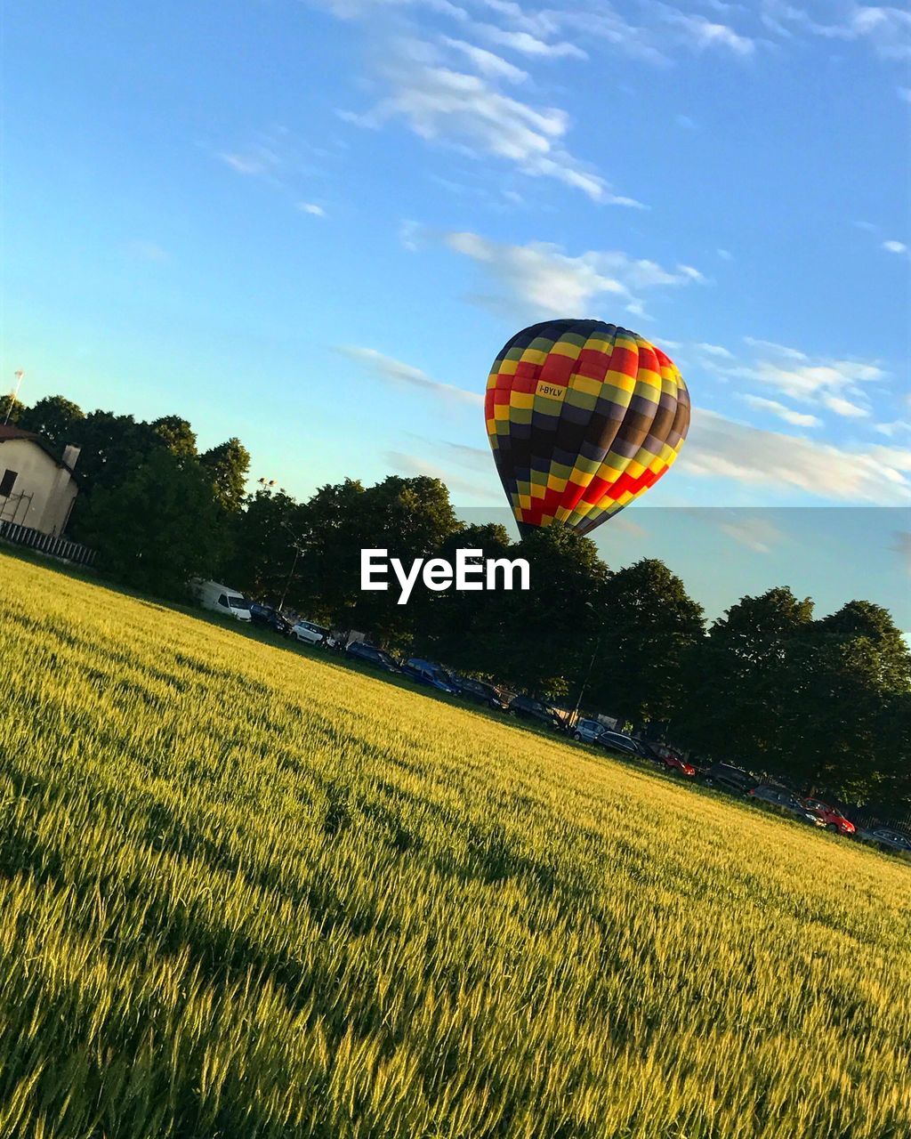 HOT AIR BALLOON FLYING OVER TREES