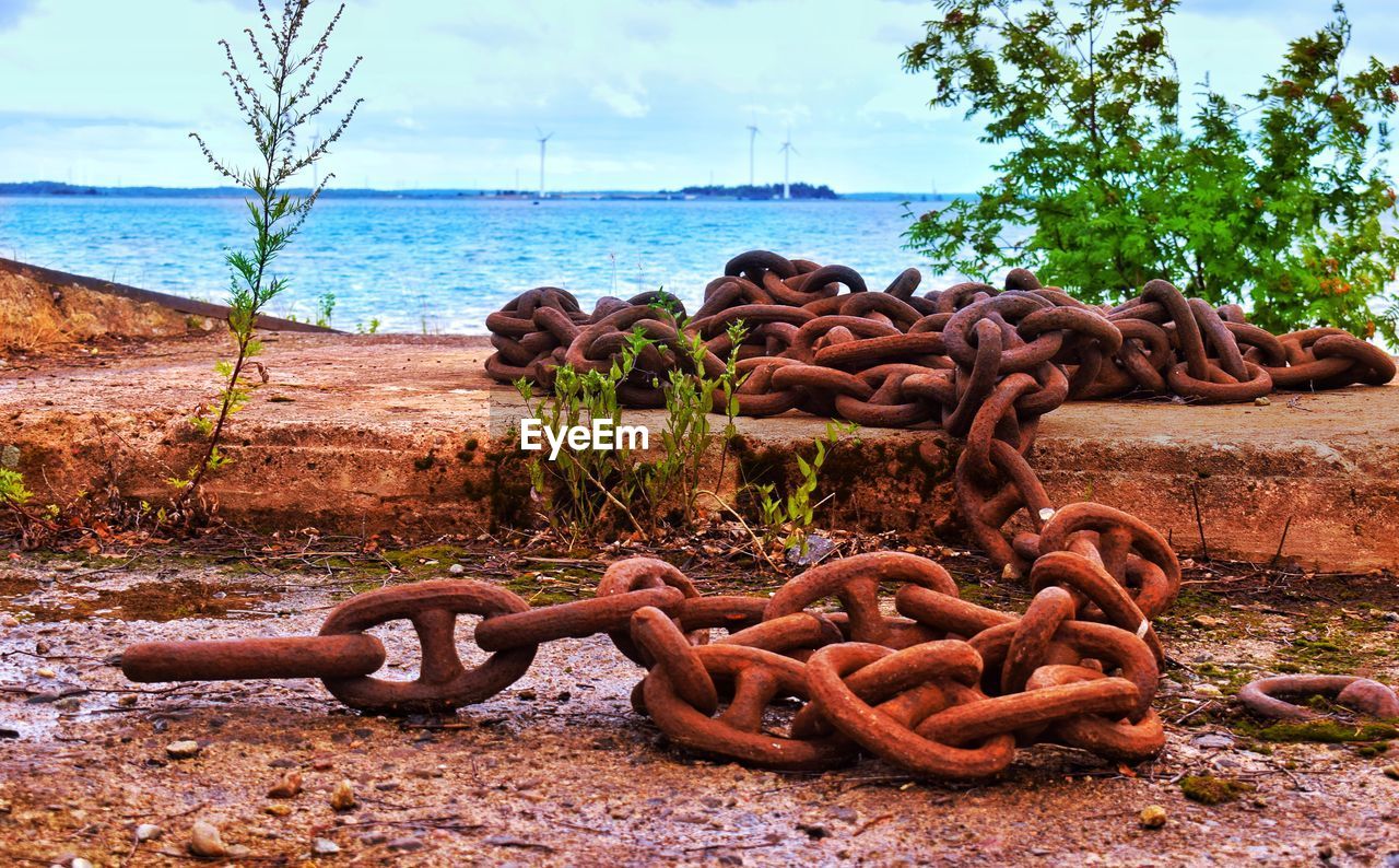 CLOSE-UP OF DRIFTWOOD AGAINST SEA