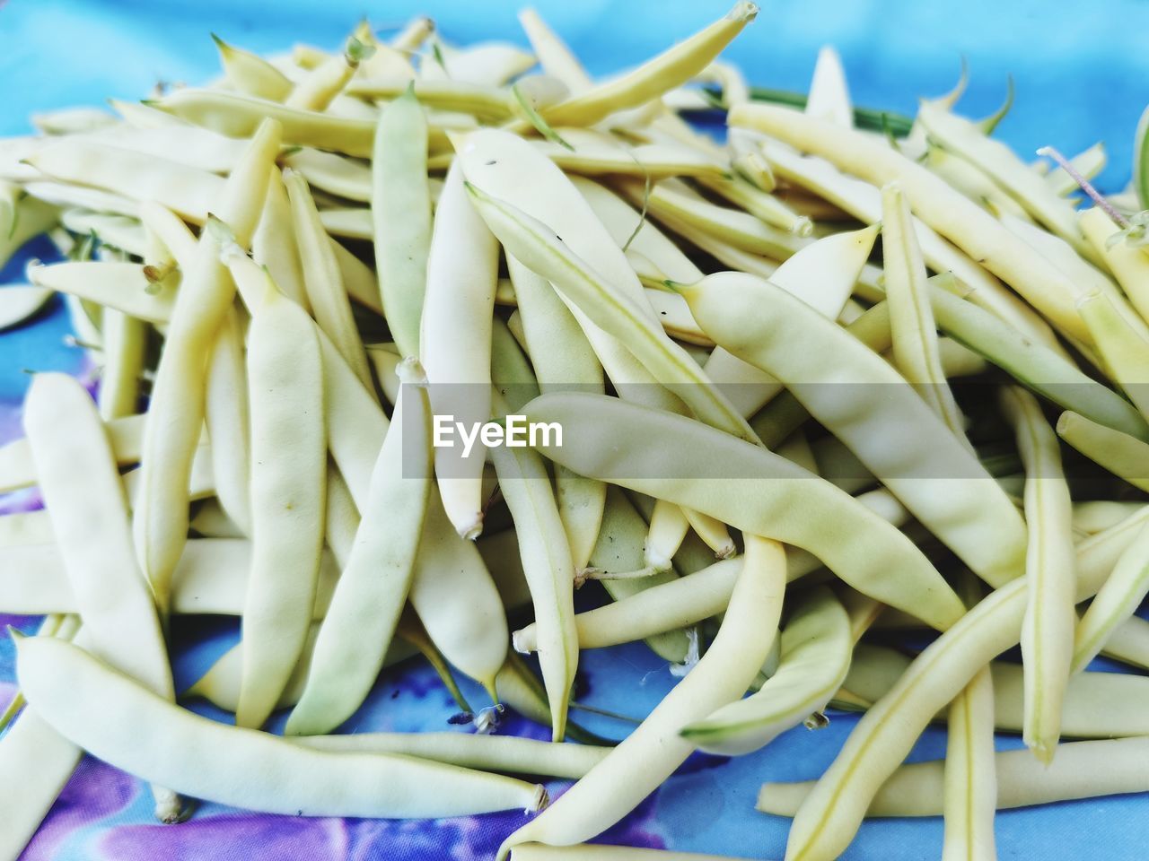 CLOSE-UP OF FRESH VEGETABLES