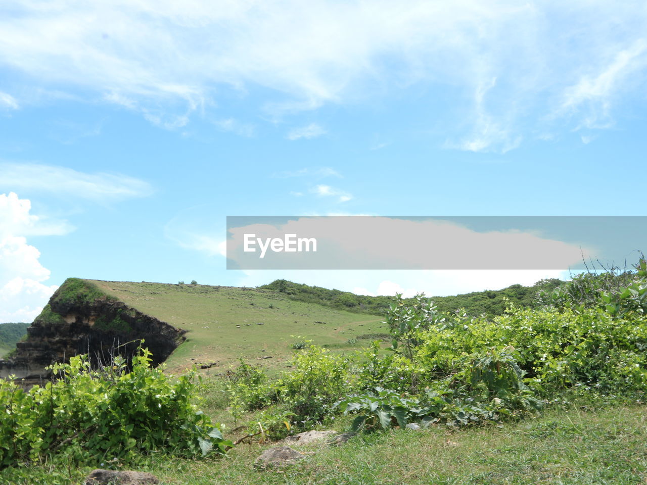 SCENIC VIEW OF LAND AND TREES AGAINST SKY