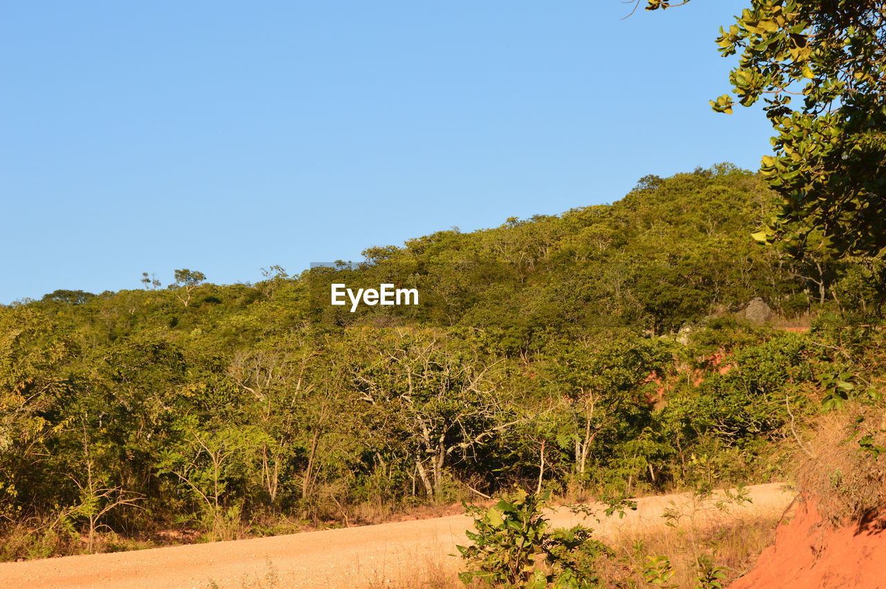 SCENIC VIEW OF LANDSCAPE AGAINST CLEAR SKY