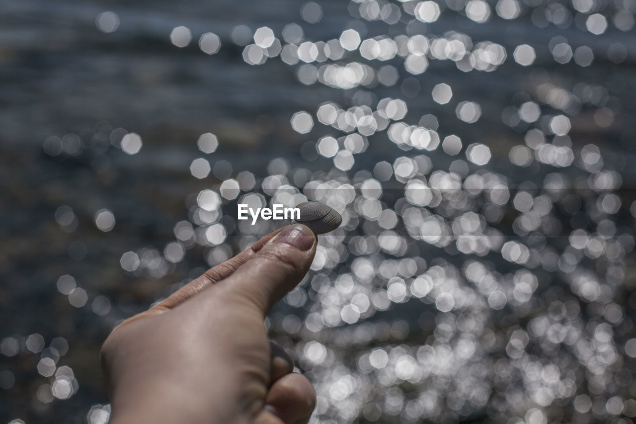 A hand holding a seashell against blurred water