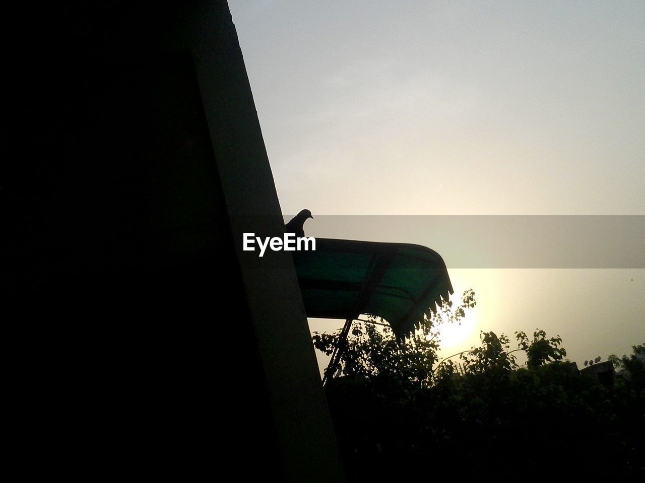 LOW ANGLE VIEW OF SILHOUETTE WATER TOWER AGAINST CLEAR SKY