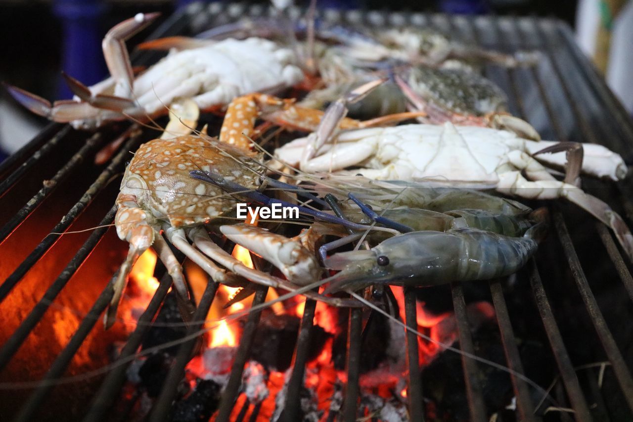 Close-up of seafood on barbecue grill