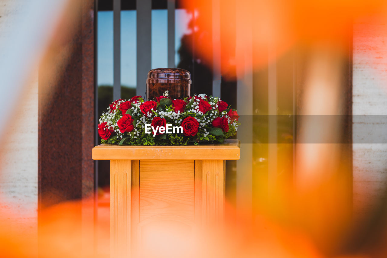 RED FLOWER POT PLANTS ON WINDOW