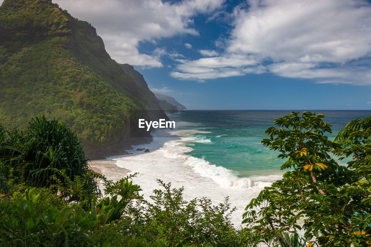 SCENIC VIEW OF SEA AND TREES AGAINST SKY