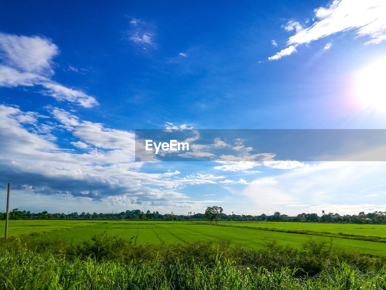 Scenic view of field against blue sky