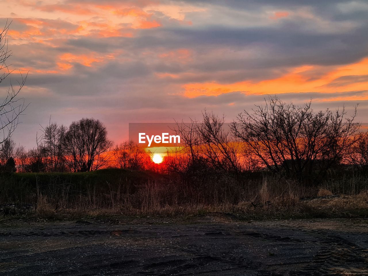 sky, sunset, cloud, tree, plant, beauty in nature, nature, orange color, landscape, scenics - nature, environment, tranquility, dawn, no people, evening, tranquil scene, land, dramatic sky, bare tree, afterglow, silhouette, non-urban scene, red sky at morning, field, sun, outdoors, idyllic, grass, sunlight, rural scene, horizon, atmospheric mood