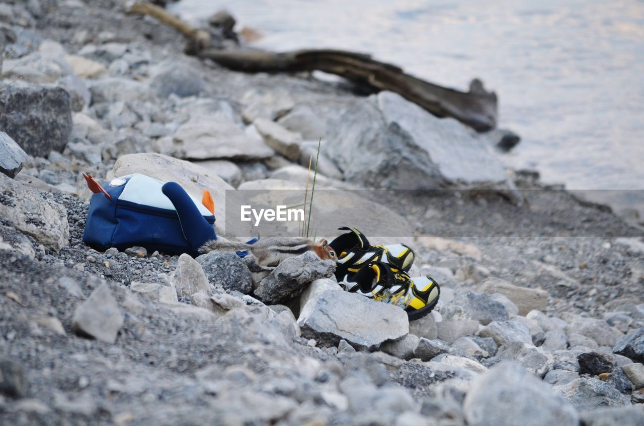 CLOSE-UP OF ROCKS AT SHORE