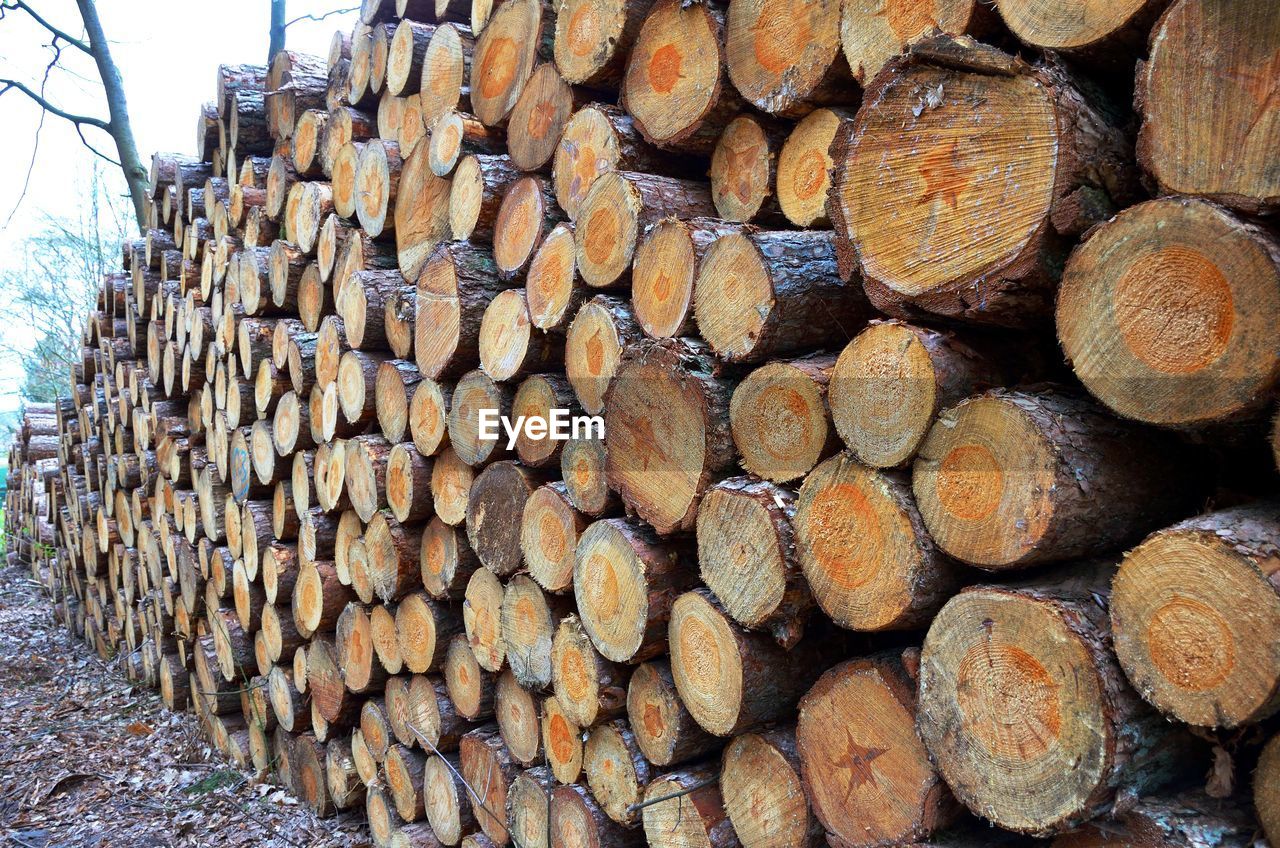 FULL FRAME SHOT OF LOGS