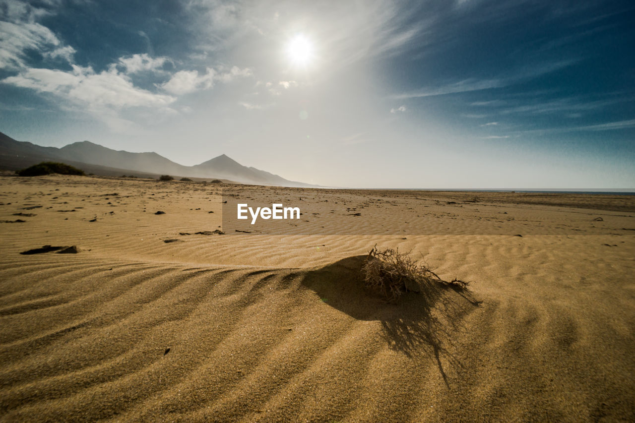 Sand dunes in desert against sky