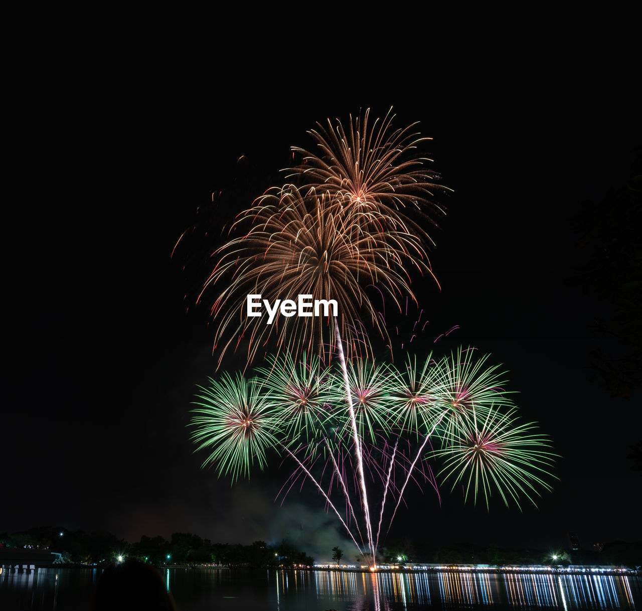 Low angle view of firework display at night