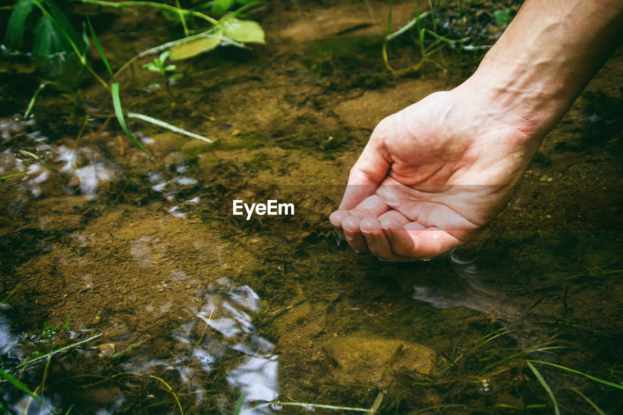 High angle view of hand in water