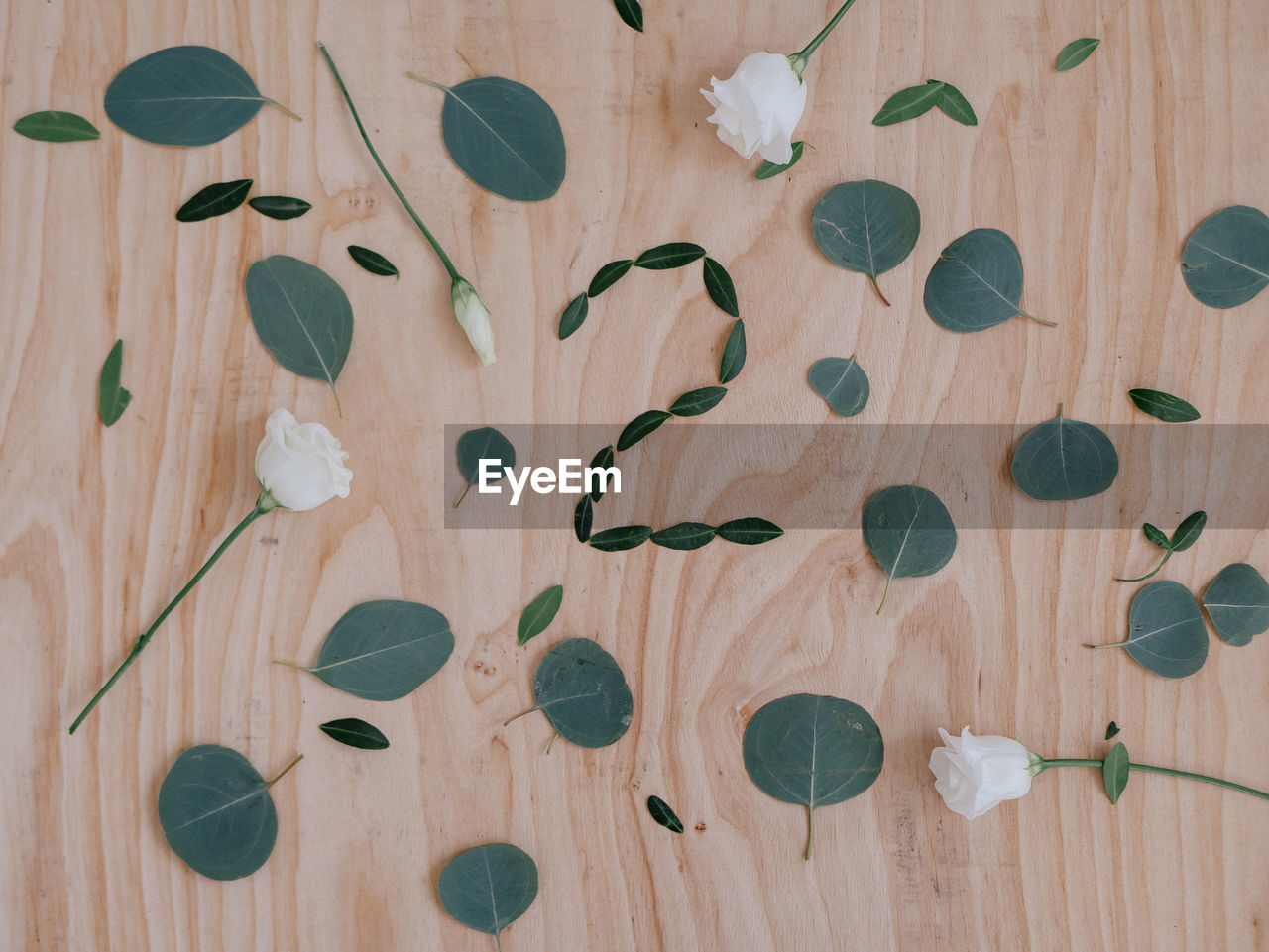 High angle view of leaves and flowers on table