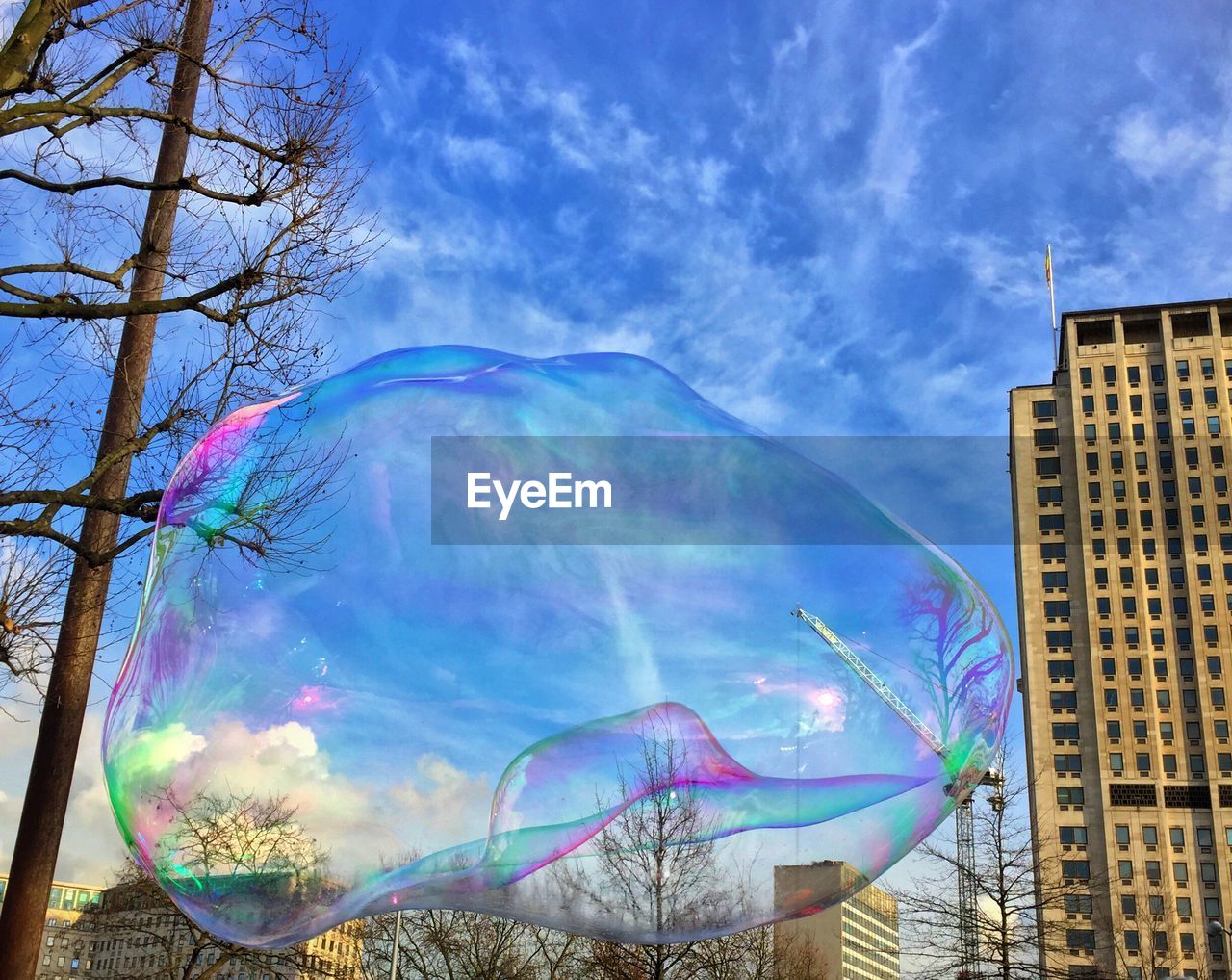 PANORAMIC VIEW OF BUBBLE AND TREES AGAINST SKY
